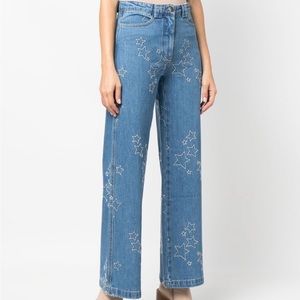 Anthropologie STELLA NOVA Cate Star Jeans NWT